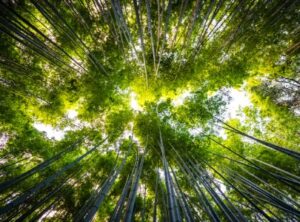 Understand how to meet your ESG goals